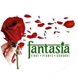 Fioreria Fantasia, Teramo orari di apertura