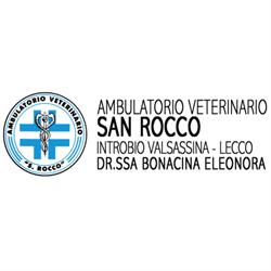 Ambulatorio Veterinario San Rocco - Dr.ssa Eleonora Bonacina, Introbio orari di apertura