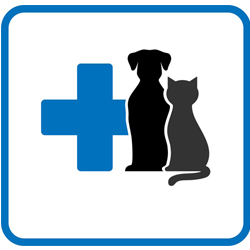 Ambulatorio Veterinario Dott.ssa Manferdi Valentina, Felina orari di apertura