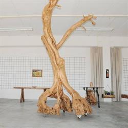Nika Arts, Cortona orari di apertura