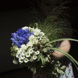 La Fata dei Fiori, San Maurizio Canavese orari di apertura