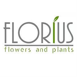 Florius Flower And Plants, Torino orari di apertura