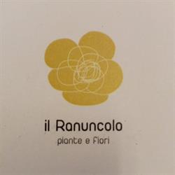 Fiori e Piante Il Ranuncolo Valsamoggia, Crespellano - Orari di apertura