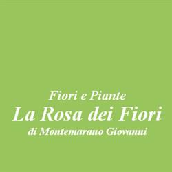 Fiori e Piante La Rosa dei Fiori, Melfi orari di apertura