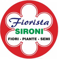 Sironi Fiori & Piante, Giussano orari di apertura