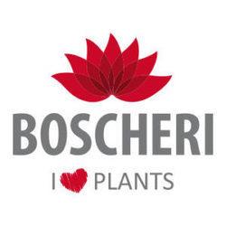 Matteo Boscheri Ingrosso, Sutri orari di apertura