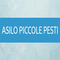 Asilo Piccole Pesti, Latina orari di apertura