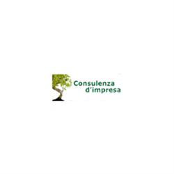 A.B.C.G. Consulting Sas, Venaria Reale orari di apertura