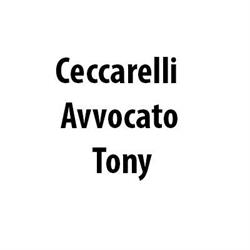 Ceccarelli Avvocato Tony, Frosinone orari di apertura