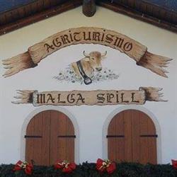 Azienda Agrituristica Malga Spill, Gallio orari di apertura