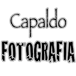 Capaldo Fotografia, Nonantola orari di apertura