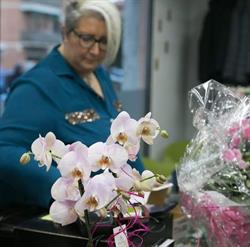 Finalmente da POL di Ferrari Paola, Carpi orari di apertura