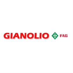 Gianolio srl, Legnano orari di apertura