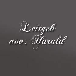 Leitgeb Avv. Harald, Bolzano orari di apertura