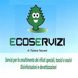 Ecoservizi Tacconi - Ritiro Rifiuti Speciali e Pericolosi, Genzano di Roma orari di apertura