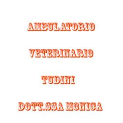 Ambulatorio Veterinario Tudini Dott.ssa Monica, Bologna orari di apertura