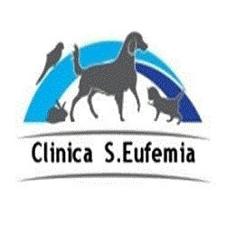 Clinica Veterinaria S.Eufemia, Milano orari di apertura