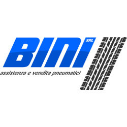 Bini - Vendita ed Assistenza Pneumatici, Città di Castello orari di apertura