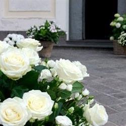 Laboratorio Floreale Aiello, Piano di Sorrento orari di apertura