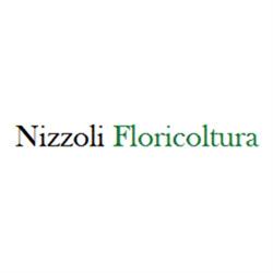 Nizzoli Floricoltura, Casalgrande orari di apertura