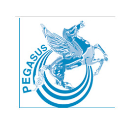 Centro Medico Polispecialistico e Fisiokinesiterapico Pegasus, Viterbo orari di apertura