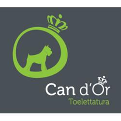 Toelettatura Can D'Or, Teramo orari di apertura