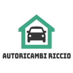 Autoricambi Riccio, Giugliano in Campania orari di apertura