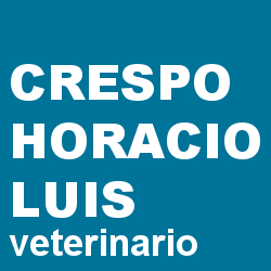 Studio Veterinario Crespo, Aulla orari di apertura