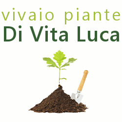 Azienda Agricola di Vita Luca, Pescia orari di apertura