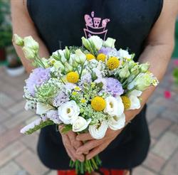 I Fiori di Nicola, Forio orari di apertura