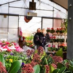 Agricampeggio Princess, Piombino orari di apertura