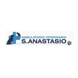 Ambulatorio Veterinario San Anastasio, Olmo orari di apertura