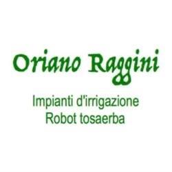 Raggini Irrigazioni e Robot Tosaerba, Cesena orari di apertura