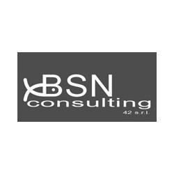 Bsn Consulting 42, Roma orari di apertura