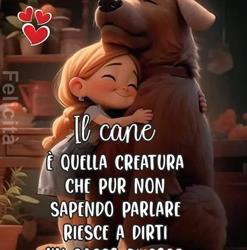 Ambulatorio Veterinario Artemisia, Trapani orari di apertura