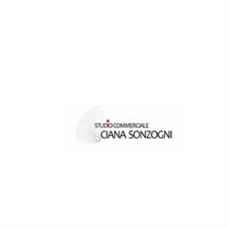 Studio Commerciale Ciana Sonzogni, Verbania orari di apertura