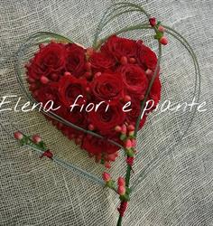 Fiori e Piante Elena Romeo, Calatabiano orari di apertura
