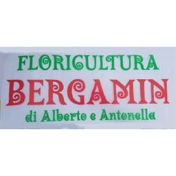 Fioreria Bergamin, Piazzola sul Brenta orari di apertura