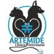 Artemide Clinica Veterinaria, Campigliano orari di apertura