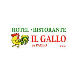 Ristorante - Hotel Il Gallo, Castel San Pietro Terme orari di apertura
