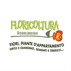 Floricoltura Rodighiero, Sandrigo orari di apertura