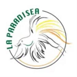 Pizzeria La Paradisea, Pisa orari di apertura
