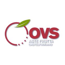 Ovs Asta Frutta Castelfirmiano, Frangarto orari di apertura