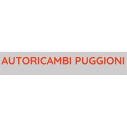 Autoricambi Puggioni, Valledoria orari di apertura