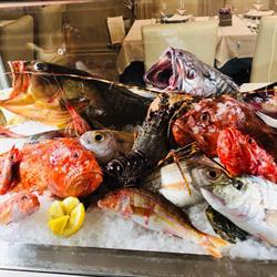 Ristorante ai Due Otri, Roma orari di apertura