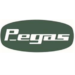 Pegas Srl, Porto San Giorgio orari di apertura