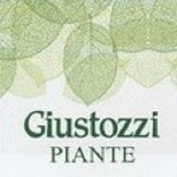 Giustozzi Piante, Civitanova Marche orari di apertura