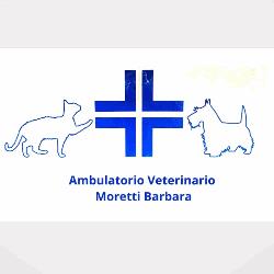 Ambulatorio Veterinario Dott.ssa Barbara Moretti, Empoli orari di apertura