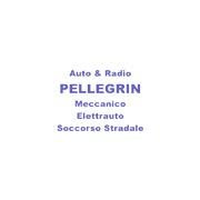 Auto e Radio Pellegrin Alessandro Sèn Jan di Fassa, Vigo Di Fassa - Orari di apertura