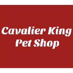 Cavalier King Pet Shop, Rimini orari di apertura
